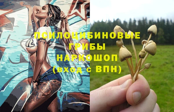 ПСИЛОЦИБИНОВЫЕ ГРИБЫ Алексеевка