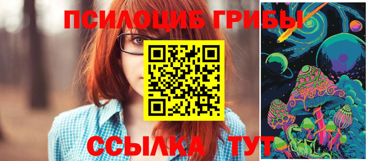Лесосибирск  Псилоцибиновые грибы прущие грибы  Вход с VPN 